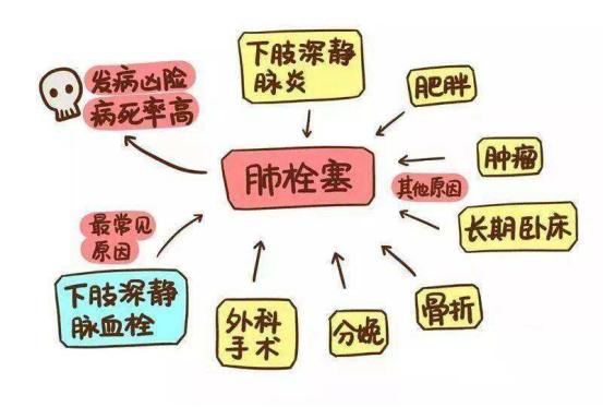19df35aaeba54082816bc22c92e5ff84.png