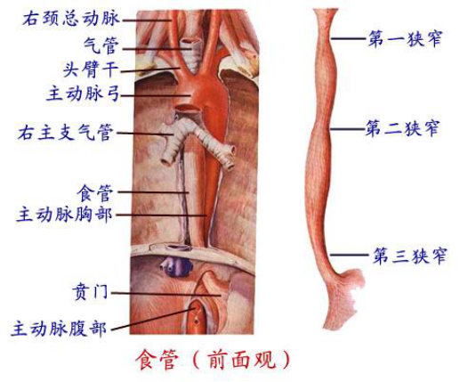130fdf2d89704f77bbf54e6f87a57405.png