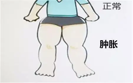 0afb3b905fae4e928bb3282271594793.png