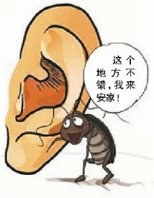 0ed1c8aa5d6b438fbf0121e14d4e5fc0.png