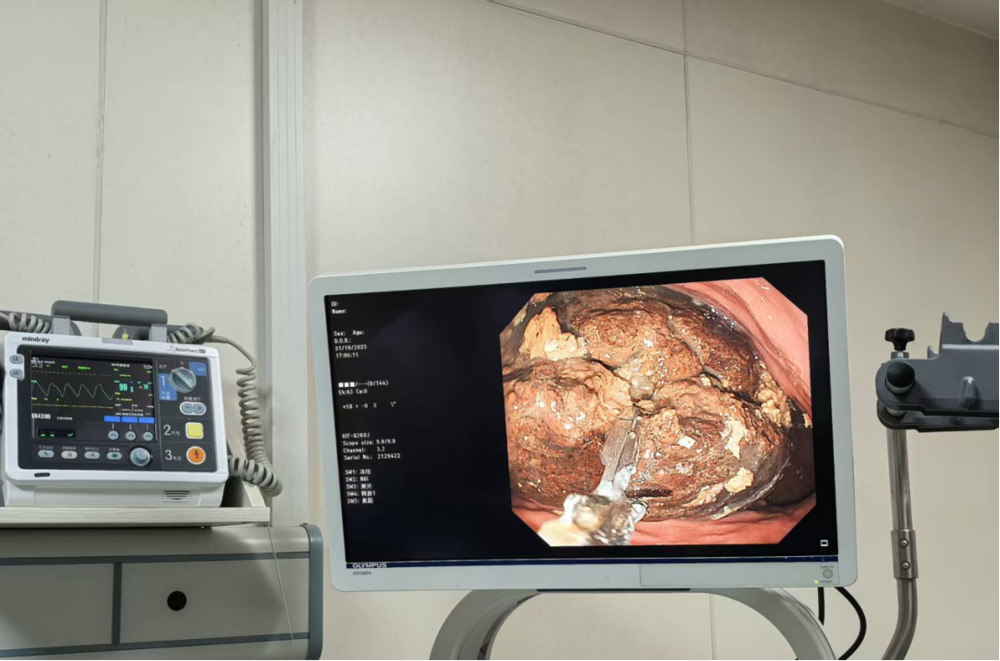 4f896dee-3212-464b-b6b8-dcde24c88b18