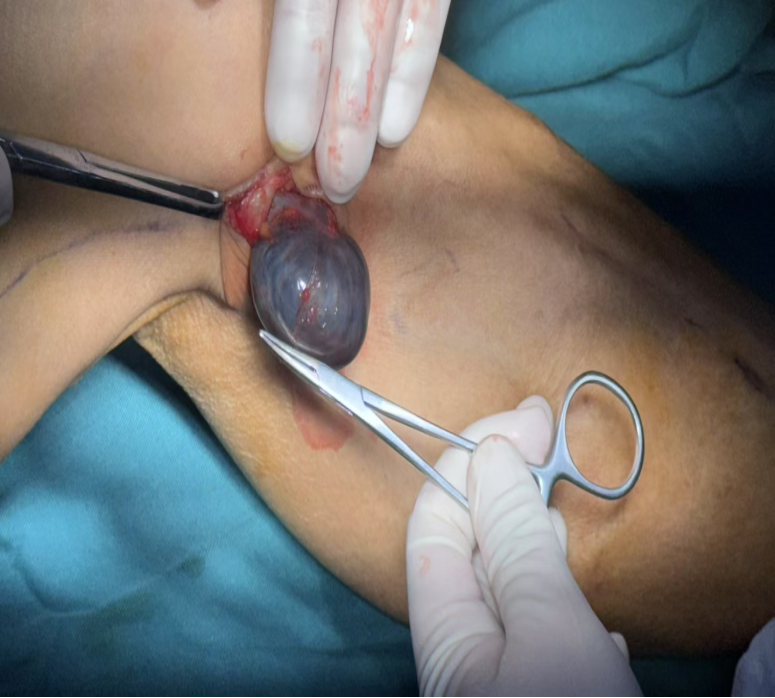 138191d5-ff3a-4de7-aaa4-37c38ff6dcc5