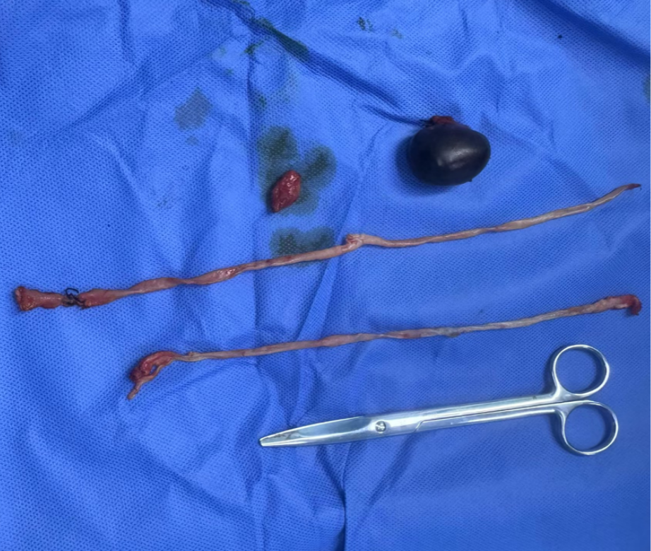 58abc504-860e-49ee-b84c-f2da15c4f18d