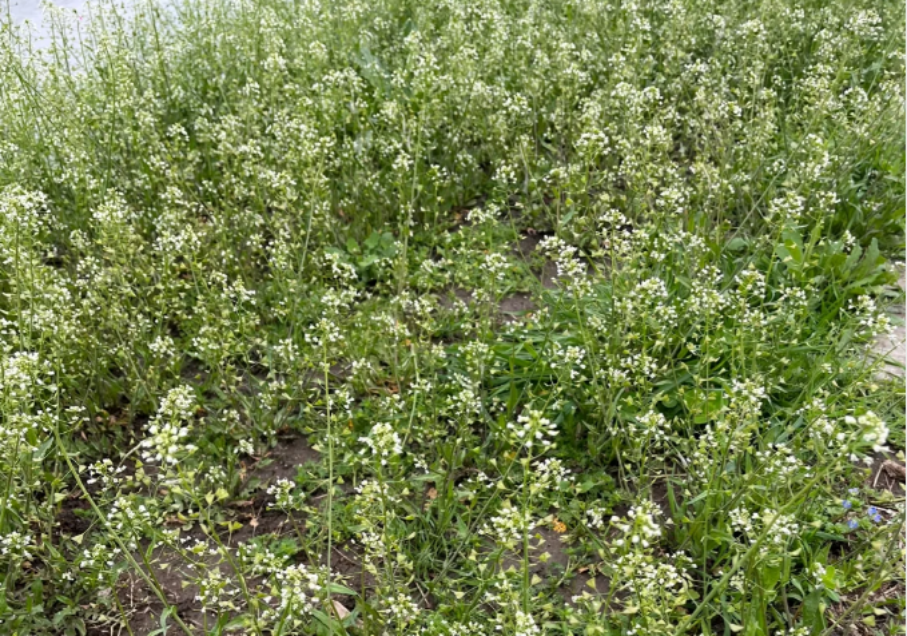 553cc871-e86c-4140-ad88-8c499b47caad