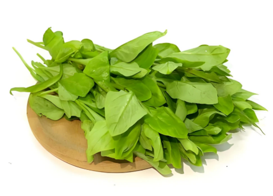 e20c5c32-993c-4df4-be2a-24def4d9528a