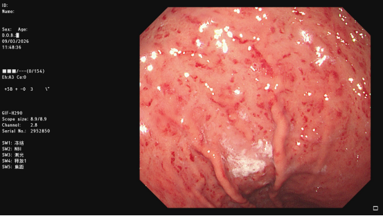 d43c7c63-2e2b-4bd9-86d1-ccc440c5ee7b