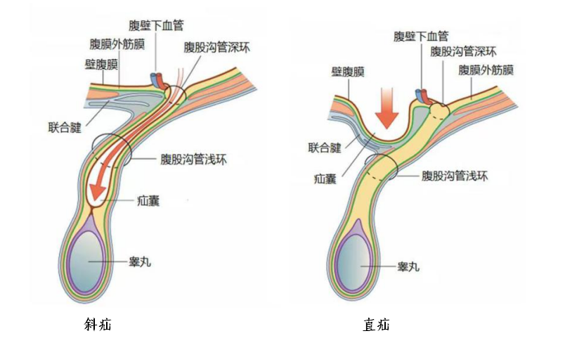 391c954e-8a9f-4e83-8ac4-81178188a717
