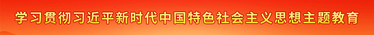 学习贯彻习近平新时代中国特色社会主义思想主题教育