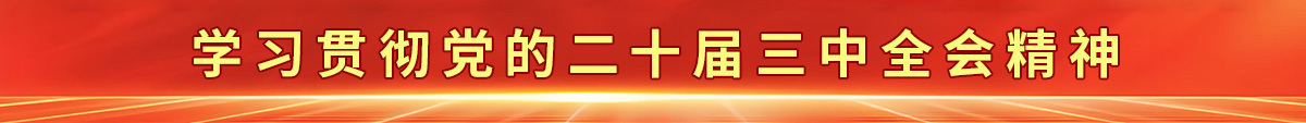 学习贯彻党的二十届三中全会精神